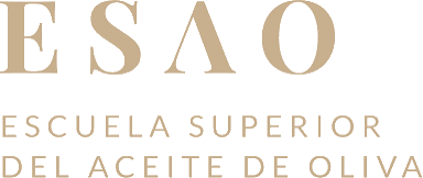 ESAO Logo de ESAO, empresa formada por AEDIA