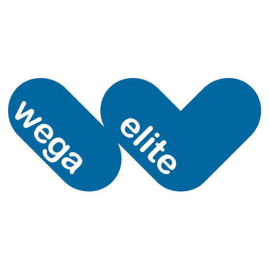Wega Elite Logo de Wega Elite, empresa formada por AEDIA